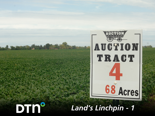 Even though farm profits are tight, farmland prices are steady to slightly higher, with a few sales carrying eye-popping price tags. (DTN File Photo)